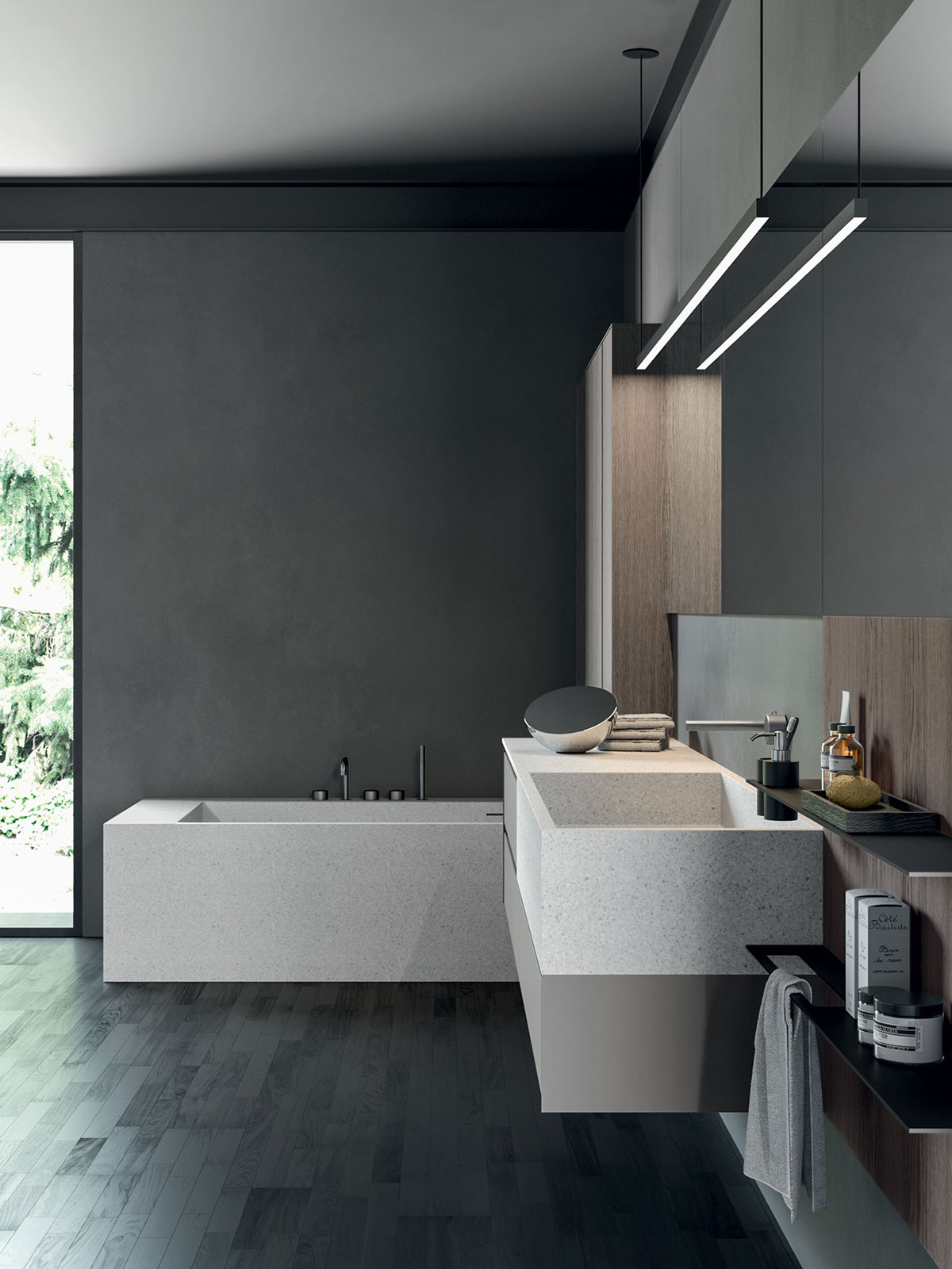Read more about the article Rexa: Rexa Forward – December 2024